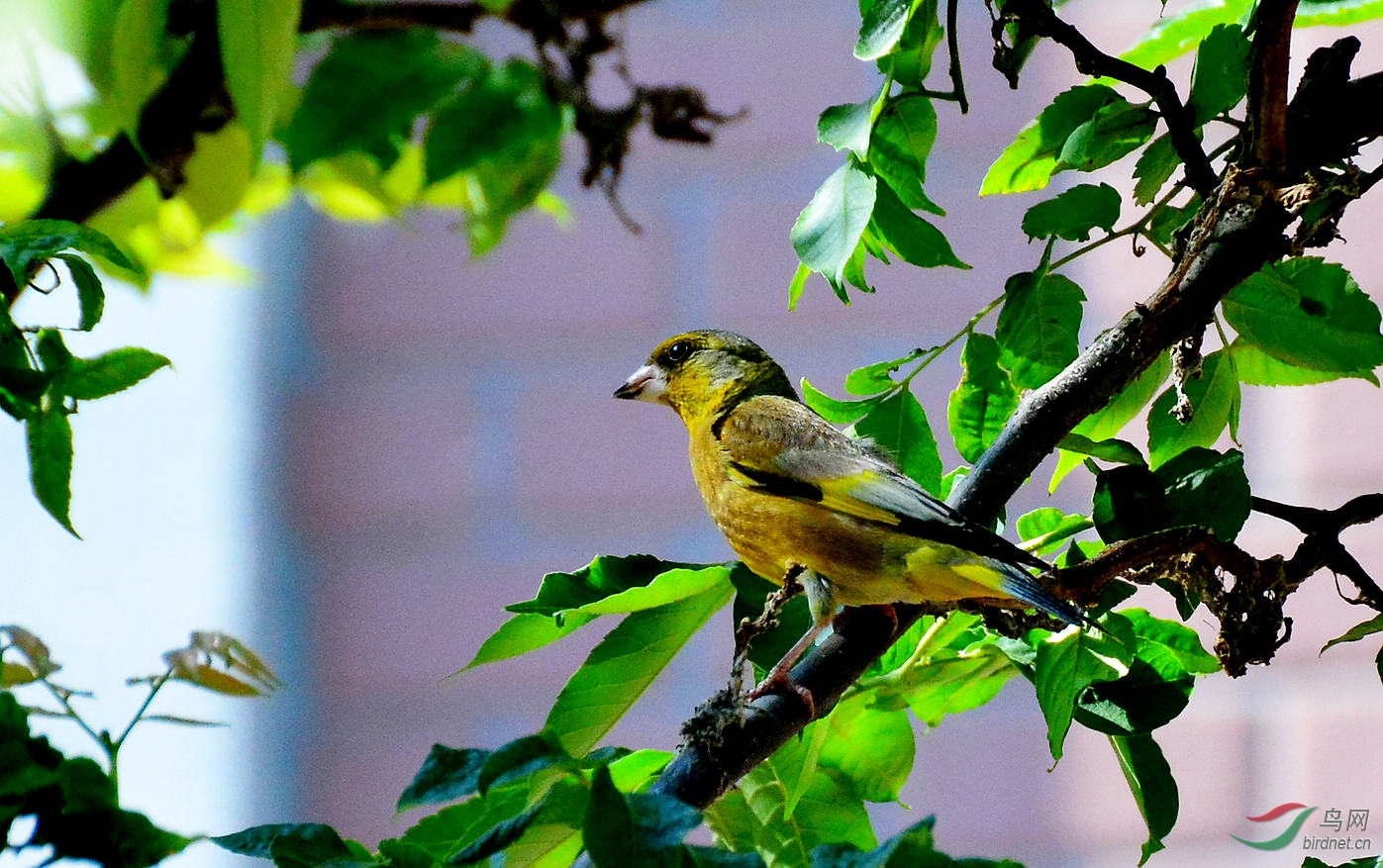 DSC_7718.JPG