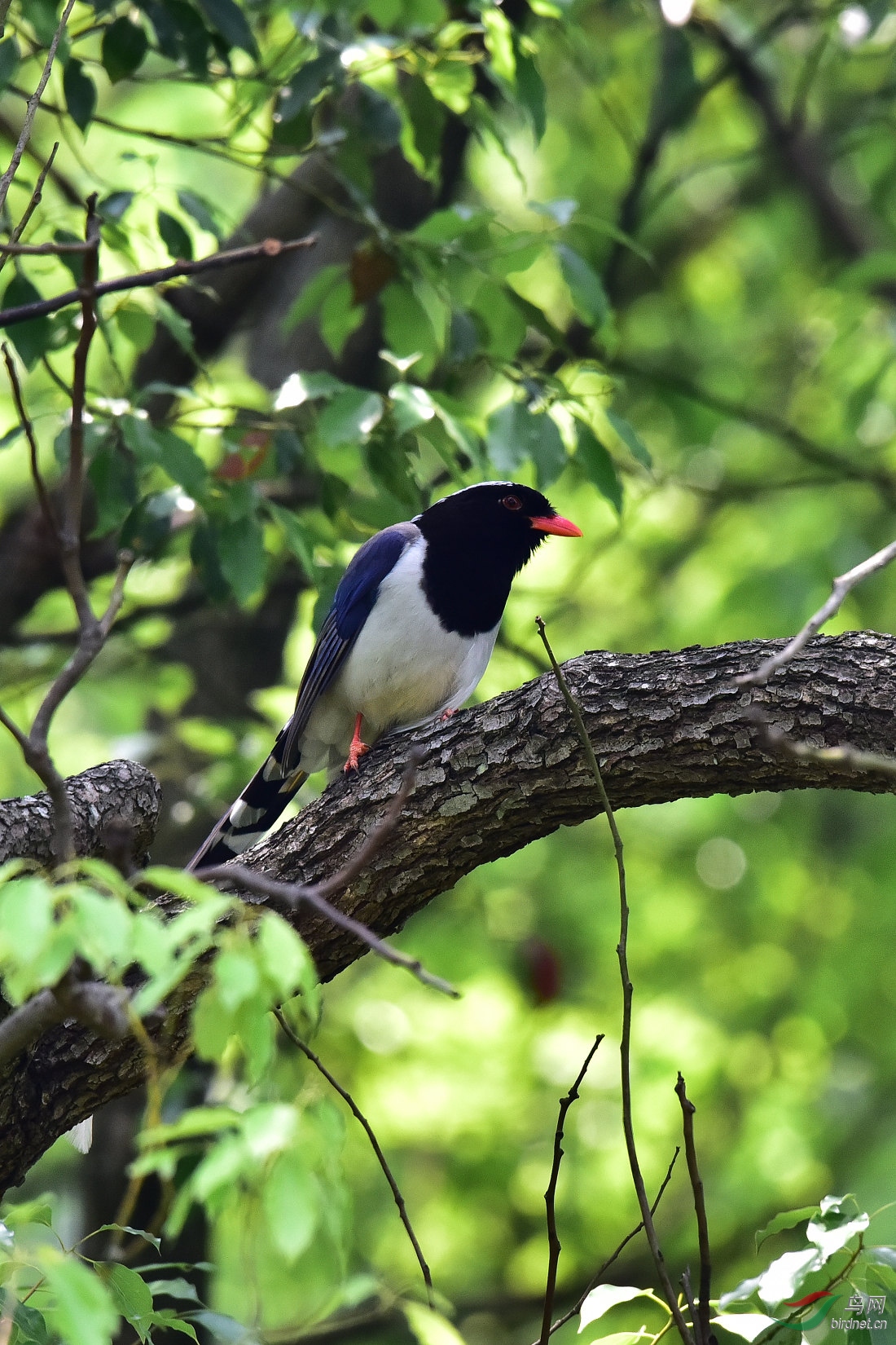 DSC_0490.JPG