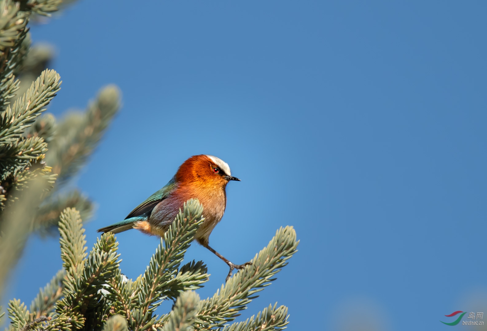 20191009acr138.jpg