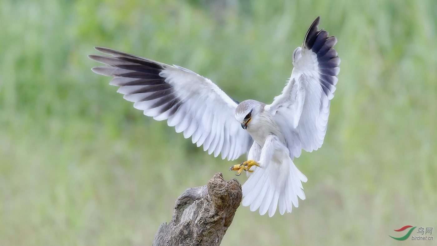 _DSC1220 - ���� - ����.JPG