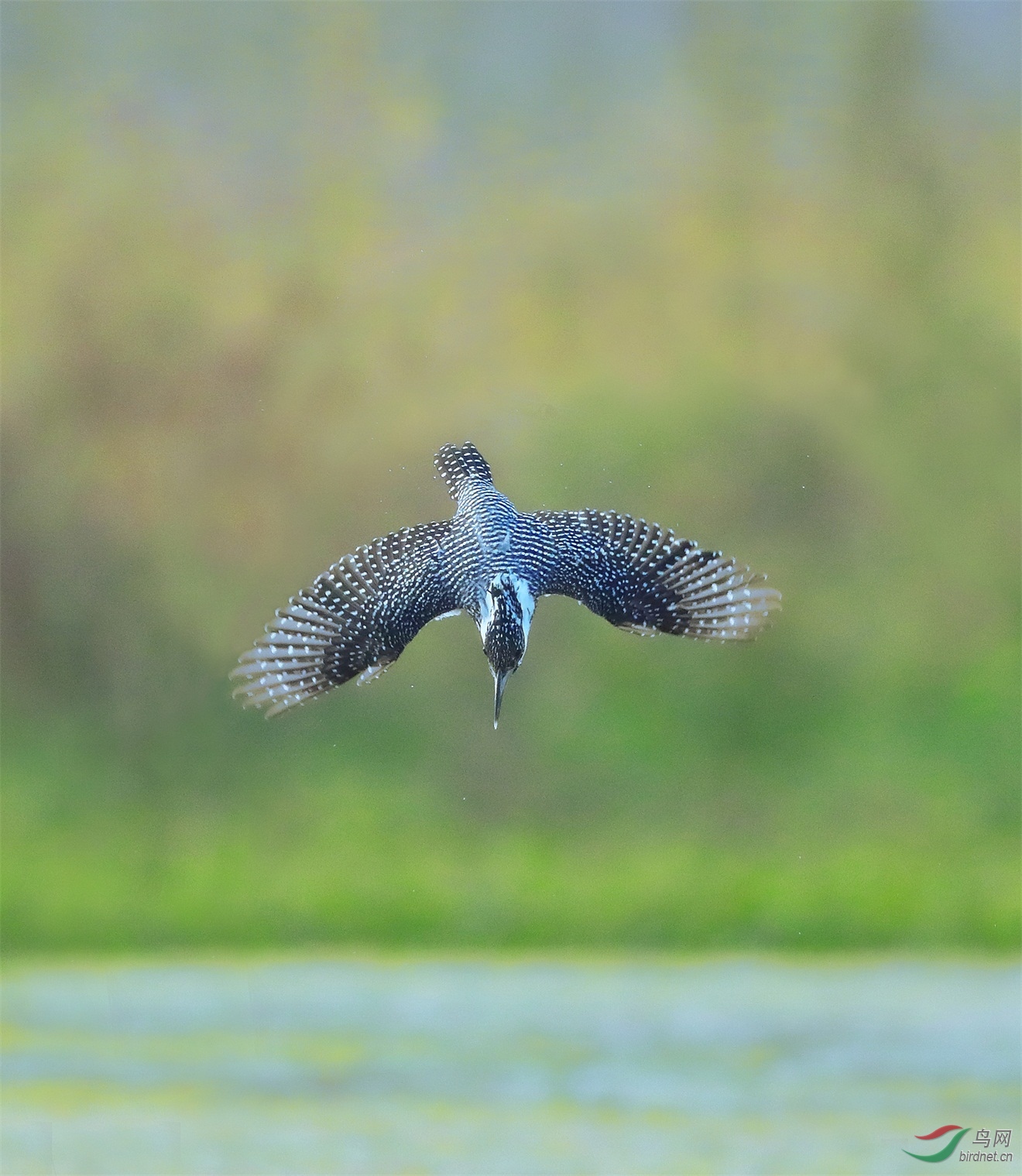 111 - ����.jpg