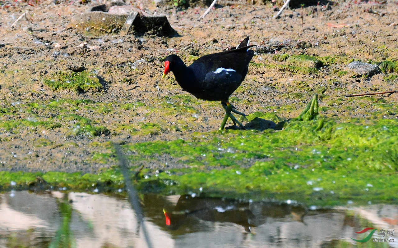 DSC_6959.JPG