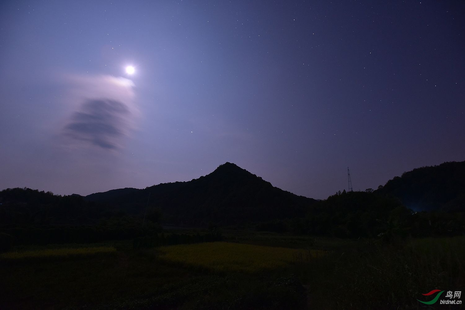 夜景图片真实图片农村图片