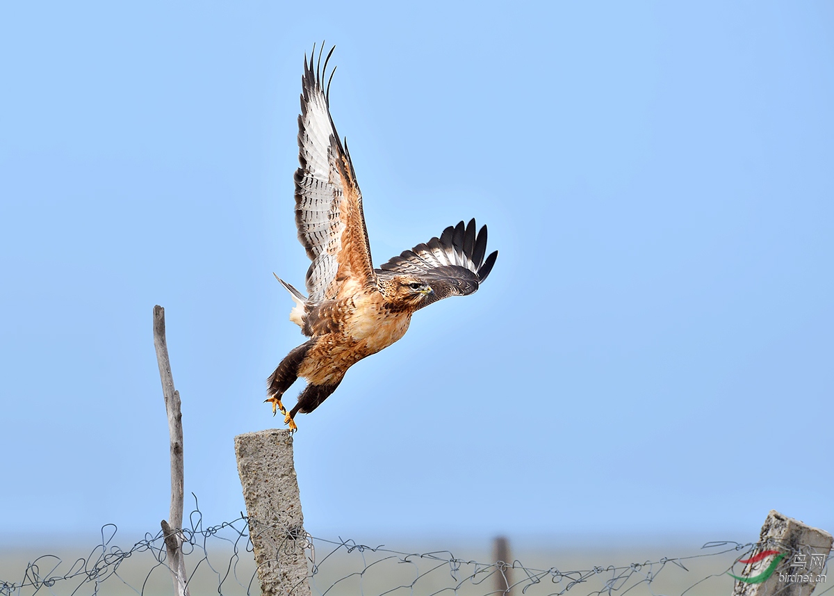 DSC_2032.jpg