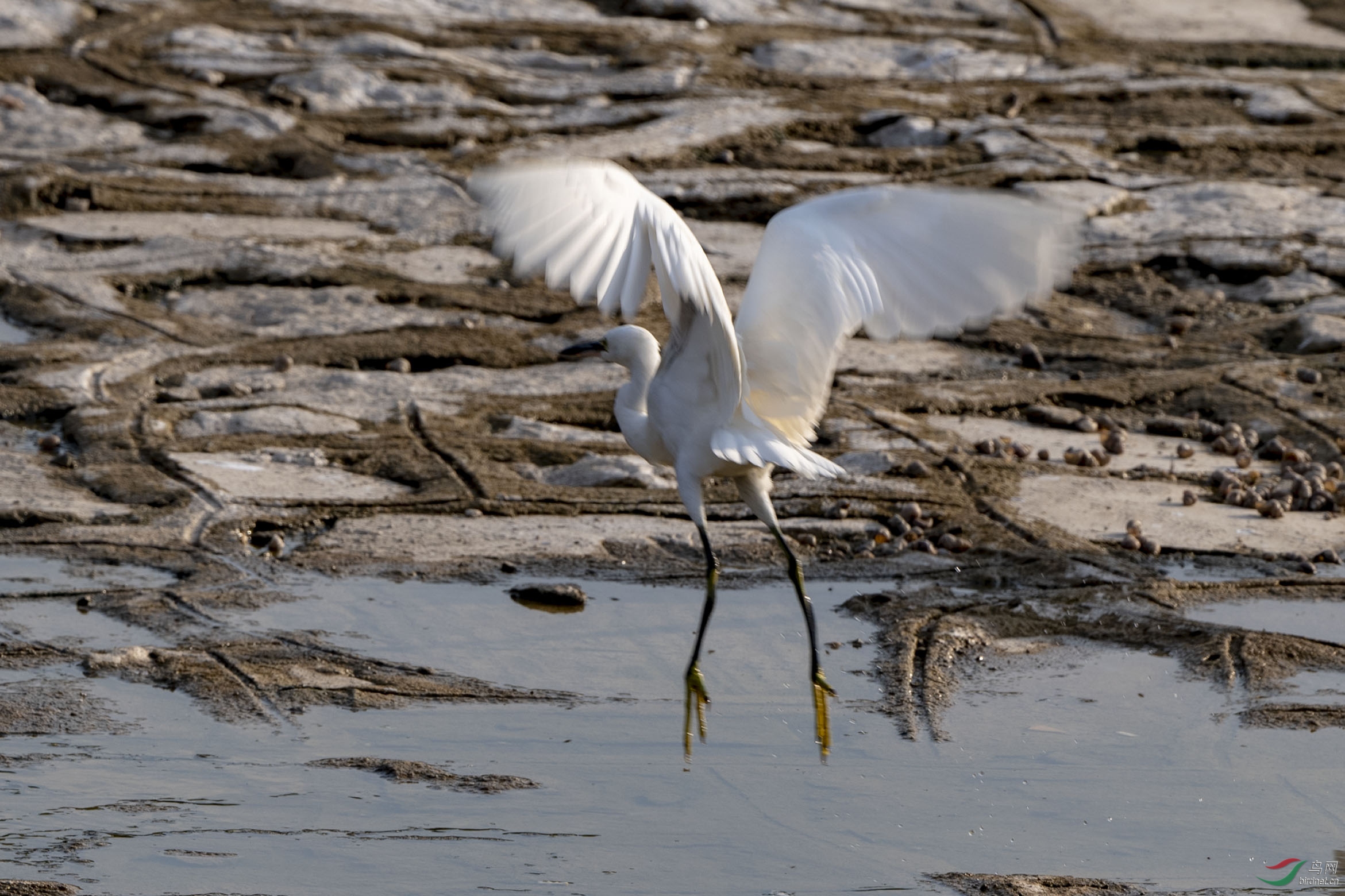 D50_1595.jpg
