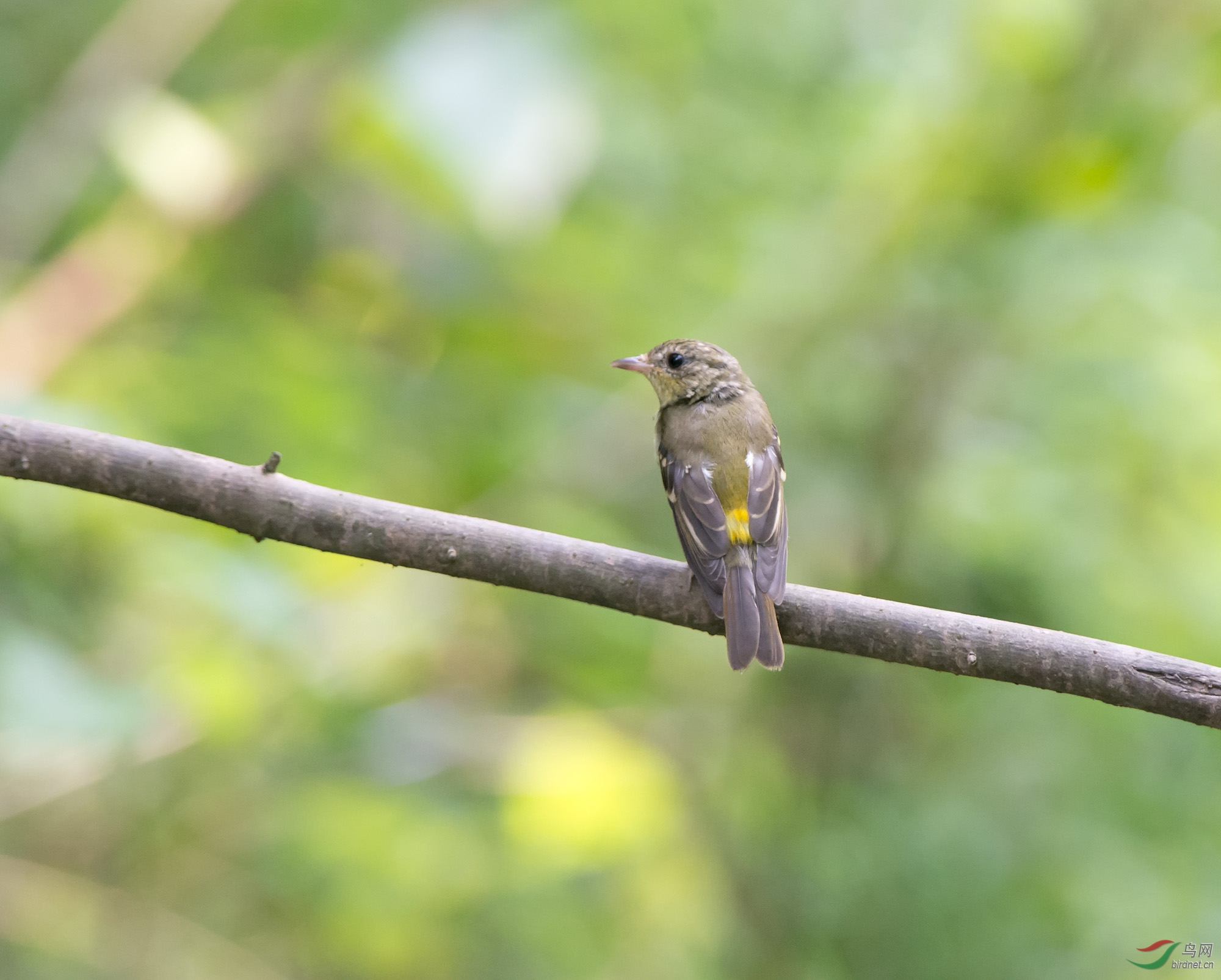 DSC_1886.jpg