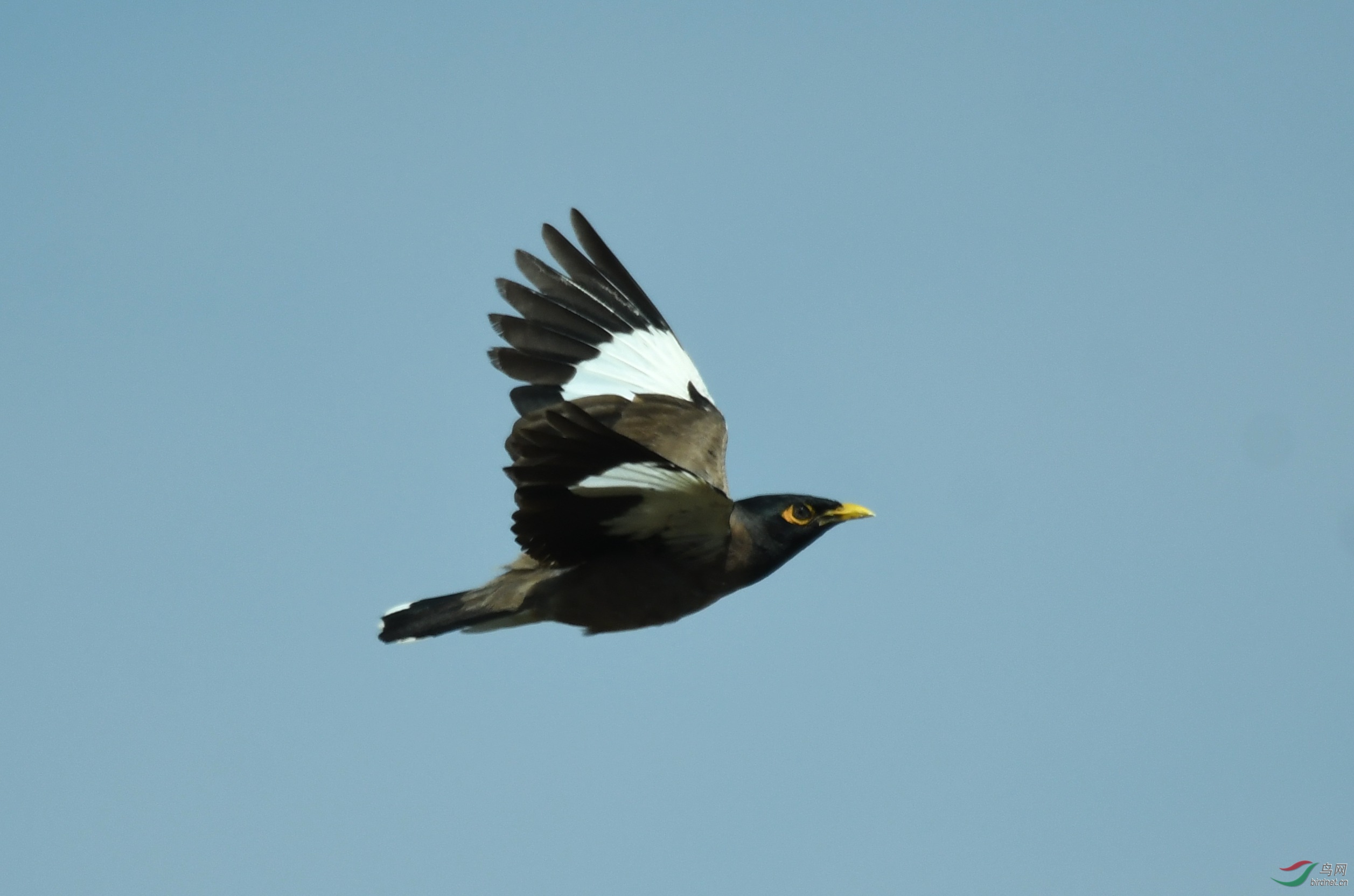 DSC_3068.JPG