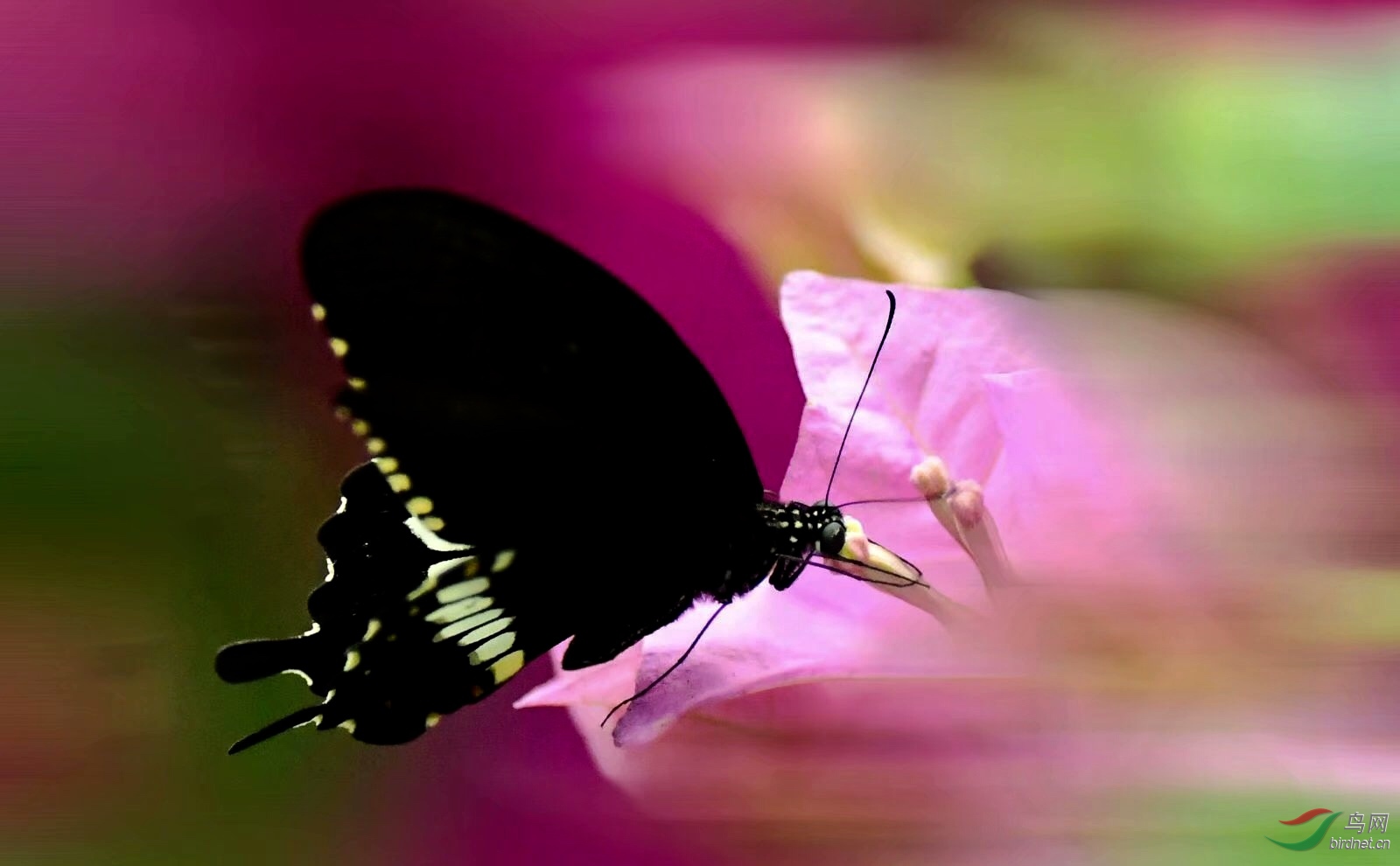 3BCBC9E6-0853-4054-B098-C1F19555C2D4.jpeg