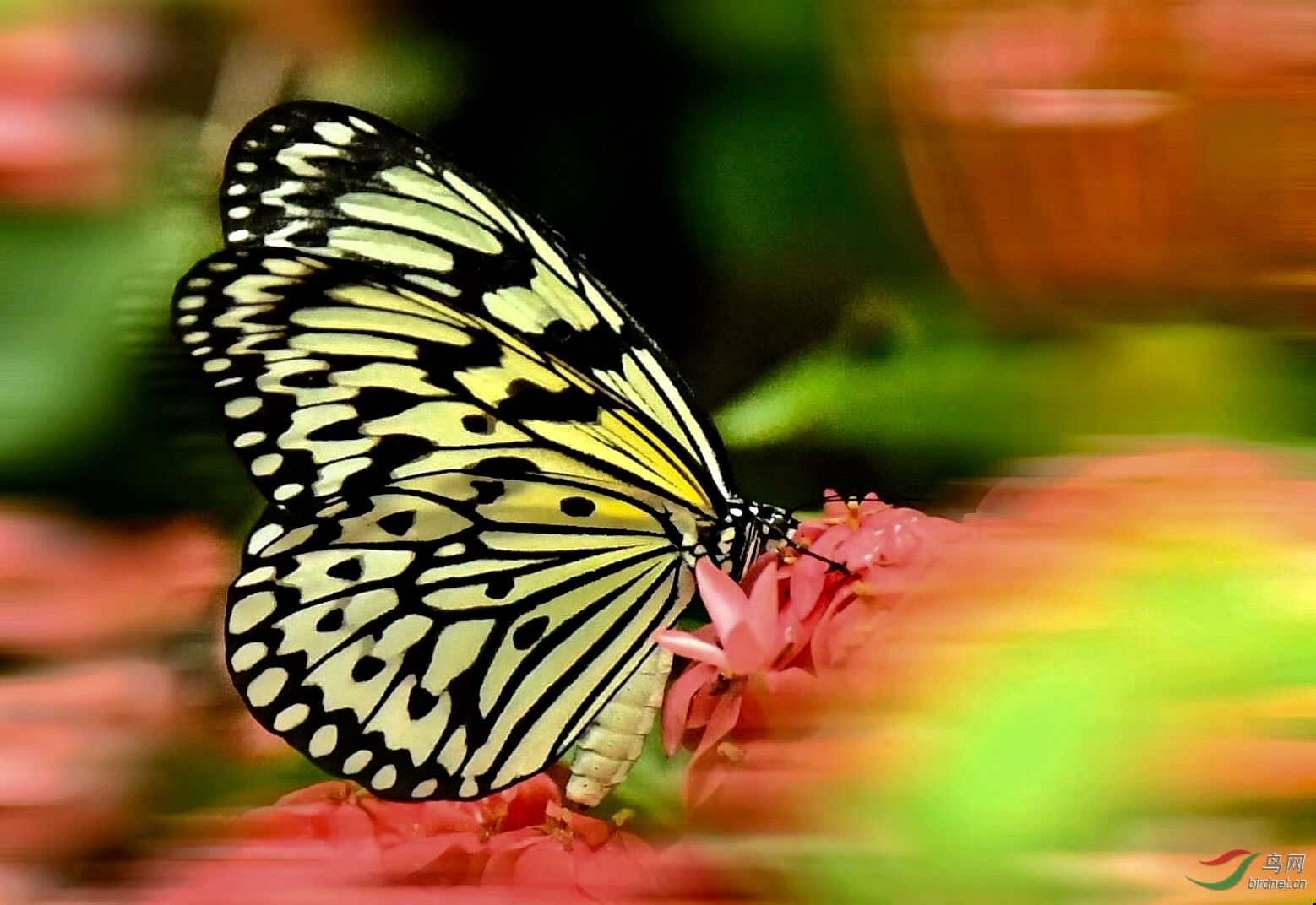 A778FE10-928E-4E2C-9244-910C3A95877E.jpeg