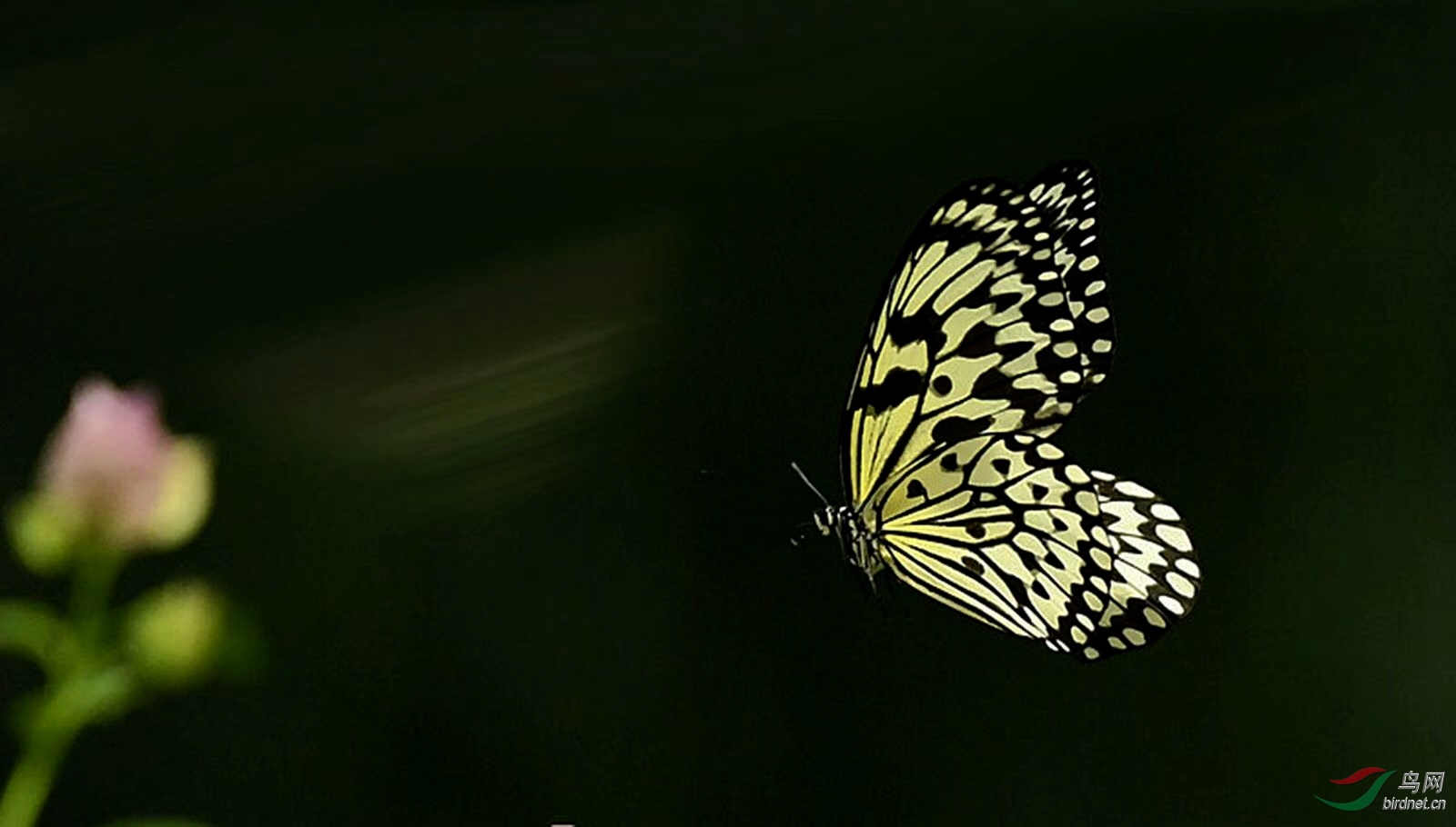8CA95134-FB6D-4598-B904-AB37C5619B4C.jpeg
