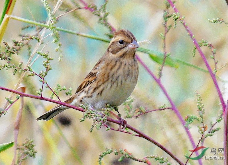 P3440390 - ����.JPG