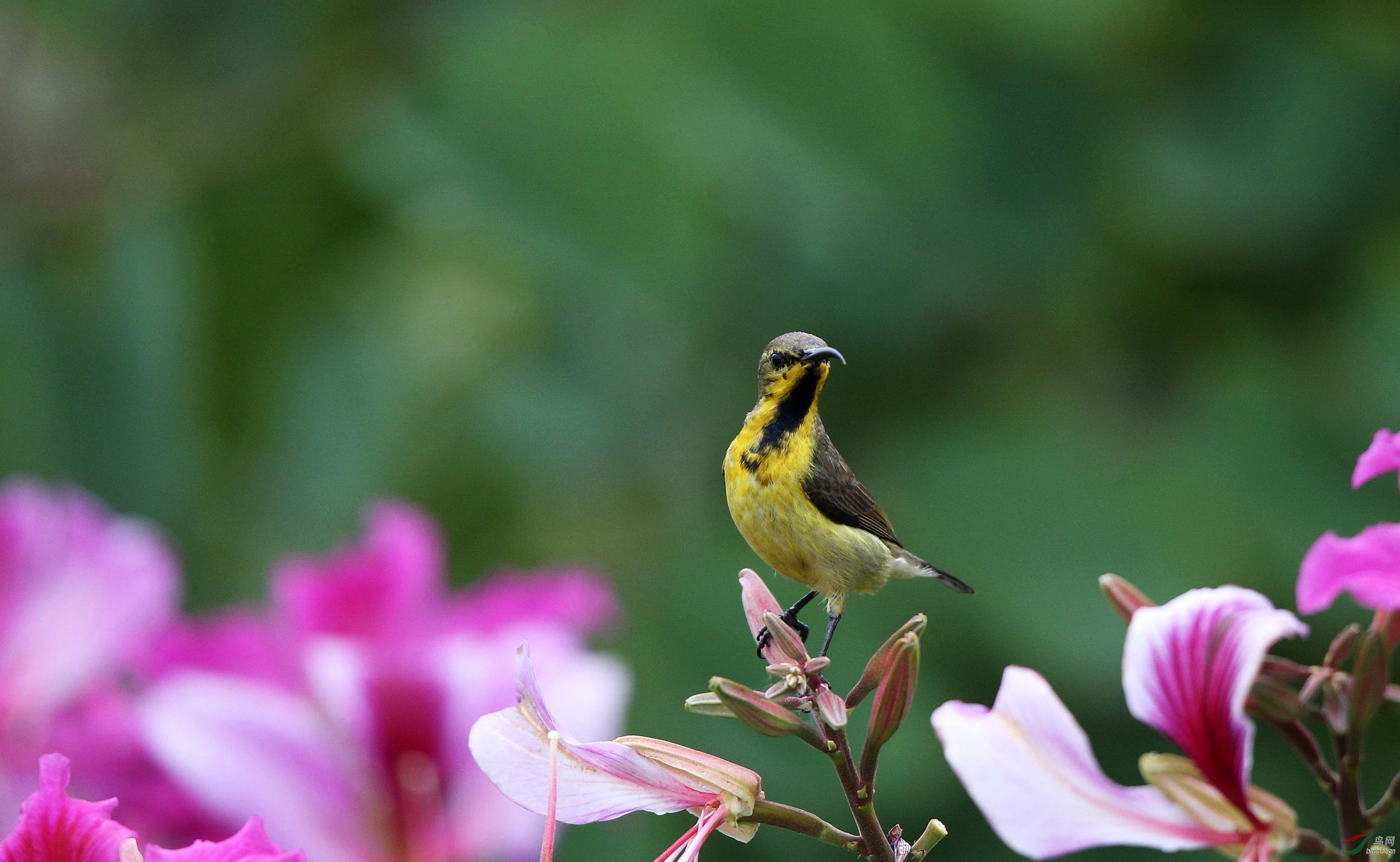 H46R6330_���� (2).jpg