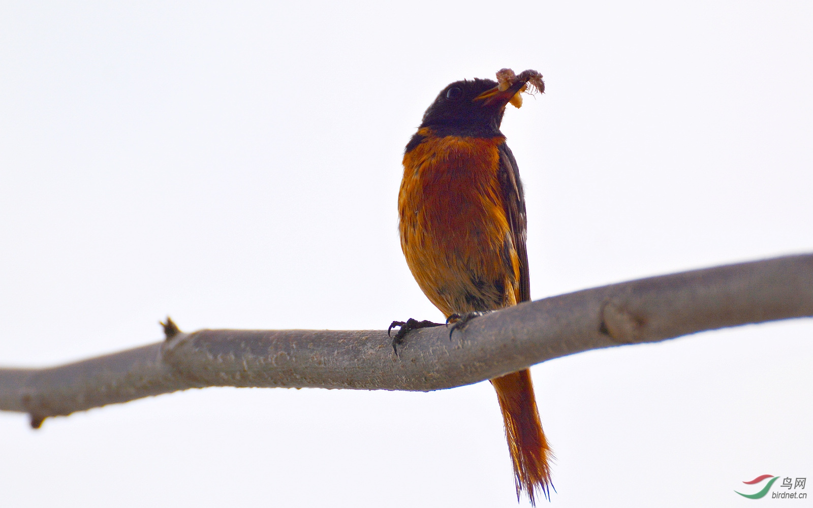 DSC_9152.JPG