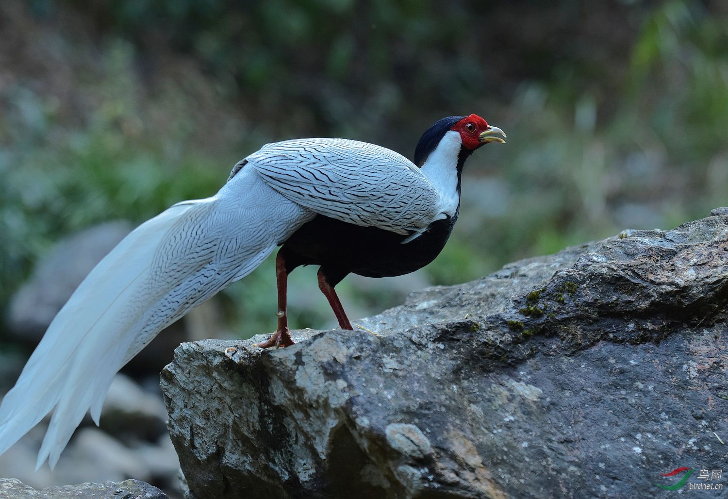 D72_4773.jpg