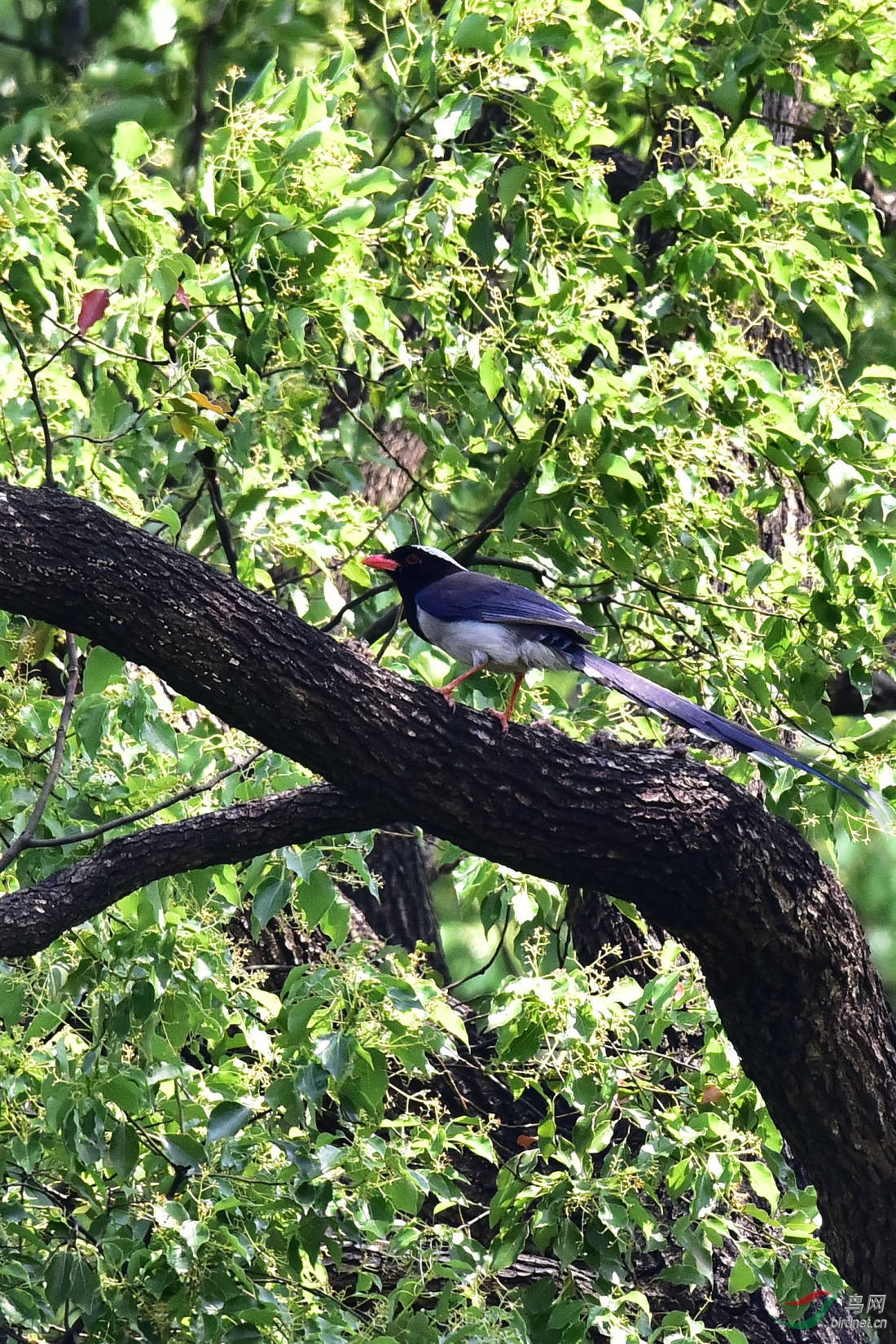 DSC_0498.JPG