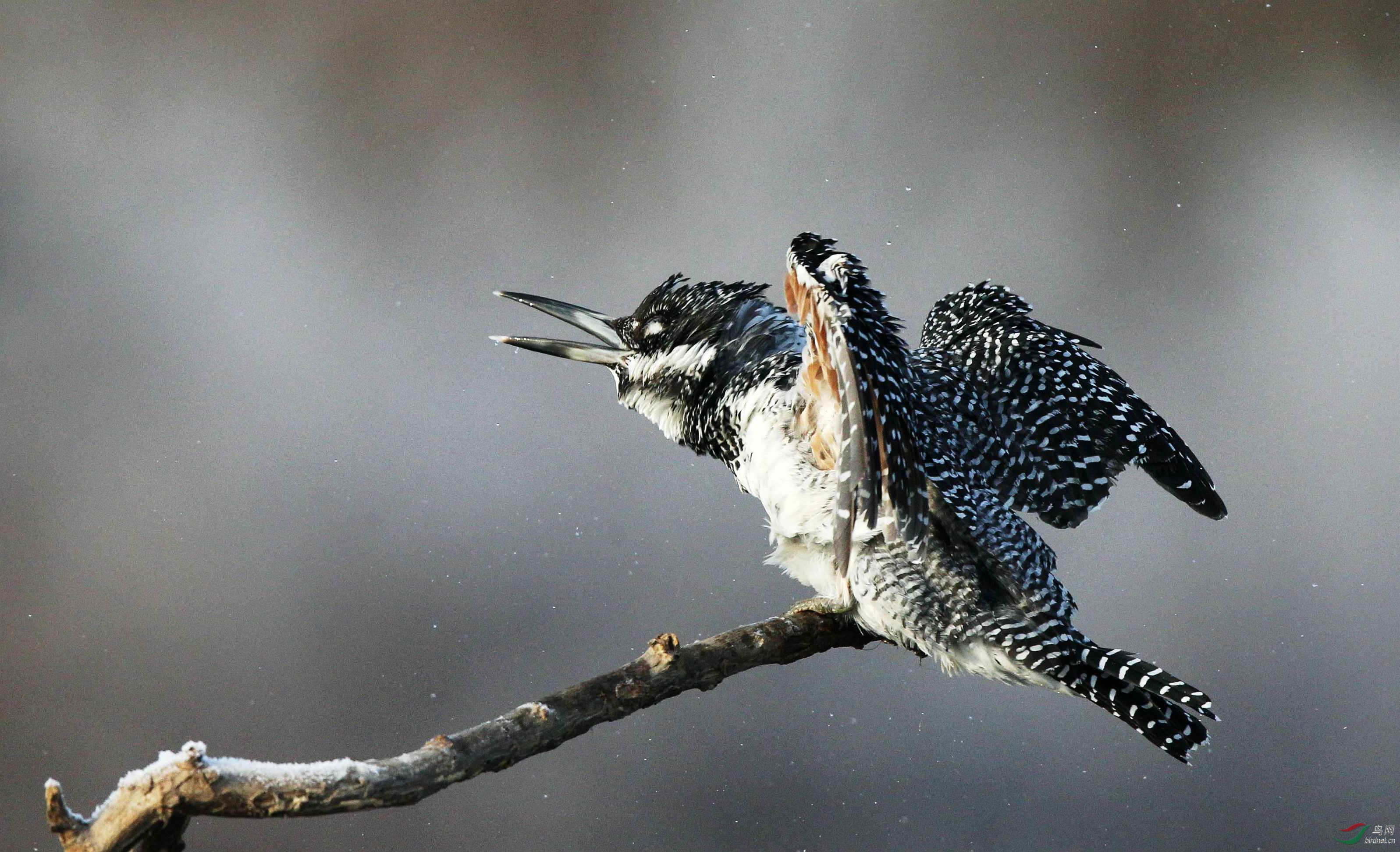 H46R1053_���� (2).jpg