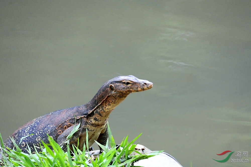 DSC_6173.jpg