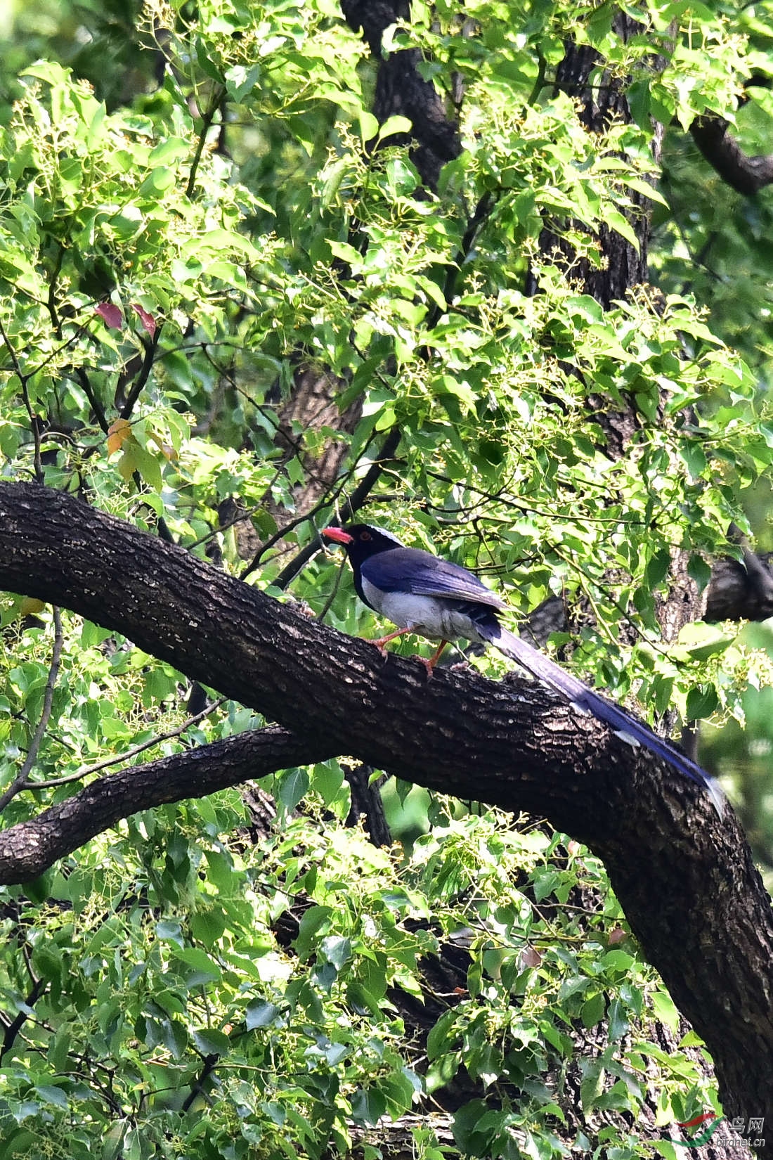 DSC_0502.JPG