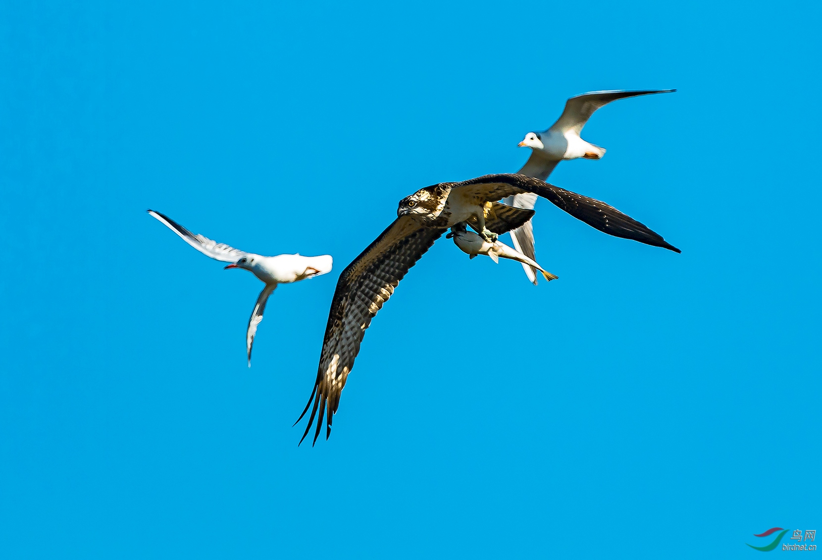 _DSC3503.jpg