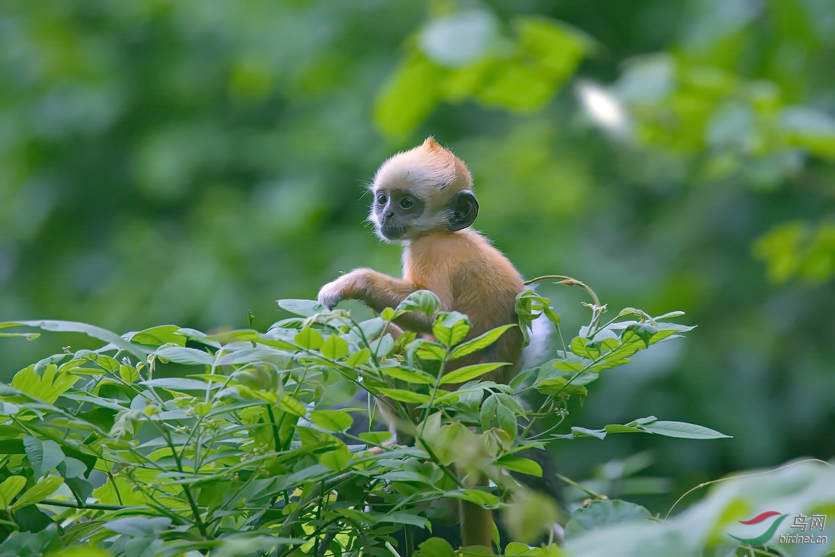 _B7A4548.jpg