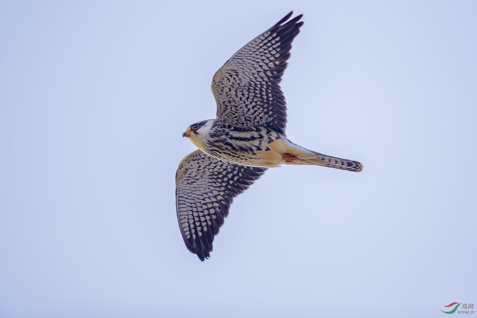 20191007_5.jpg