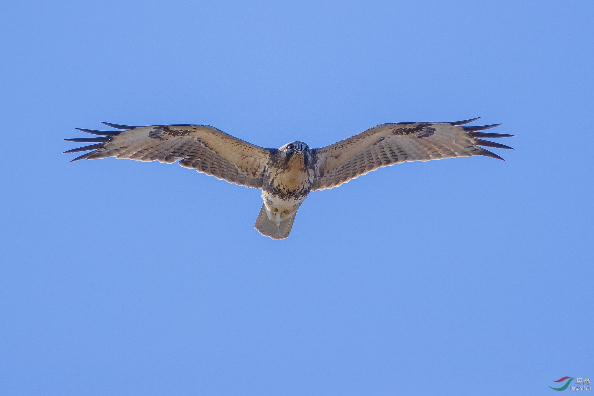 20191007_3.jpg