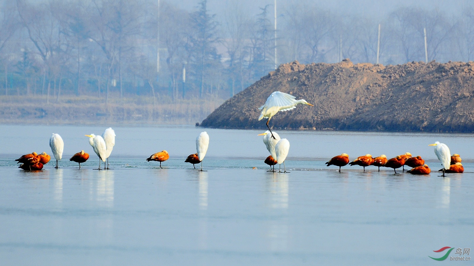 DSC_0180.JPG