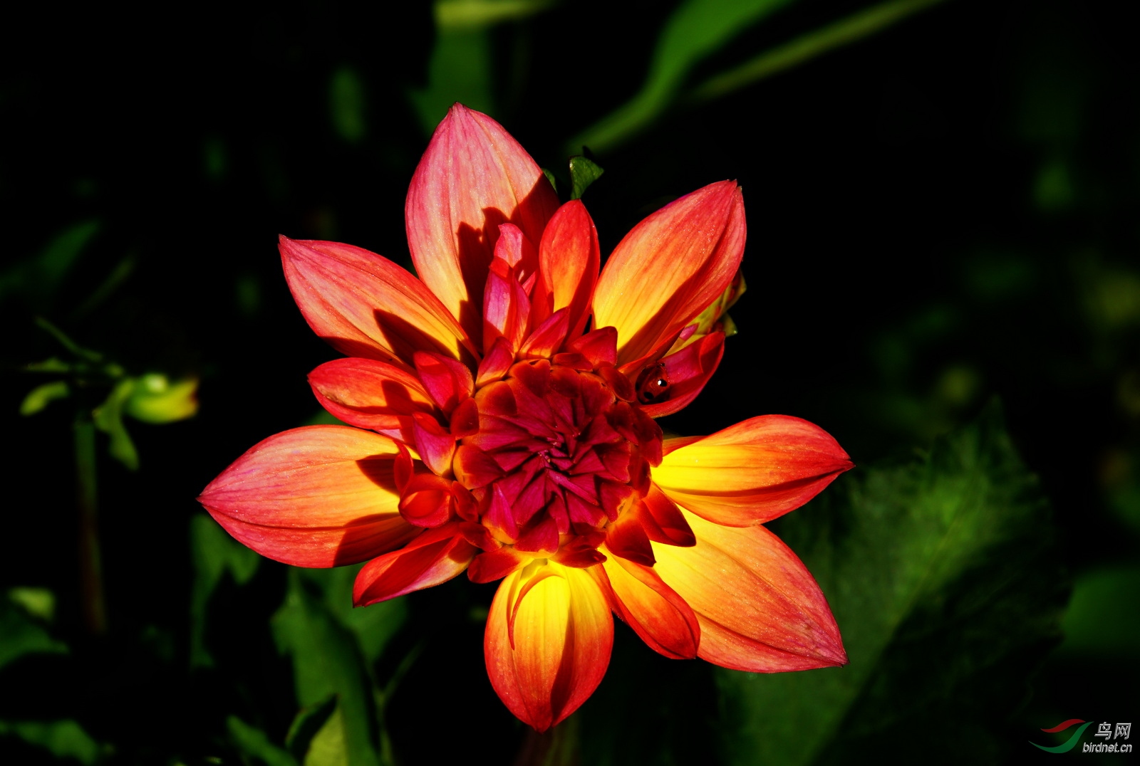 DSC08898.JPG