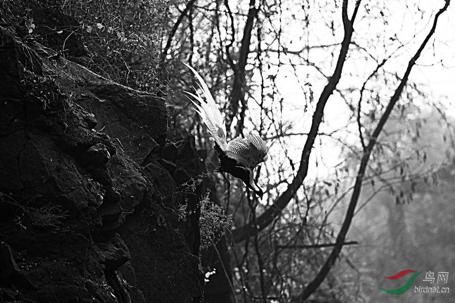 BW6I0833_����_����1_����.jpg