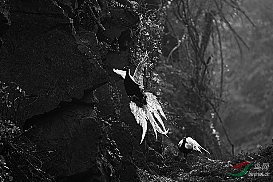 BW6I0910_����_����1_����.jpg