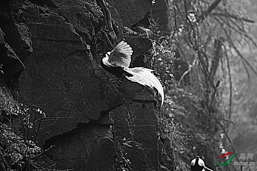 BW6I0916_����_����1_����.jpg