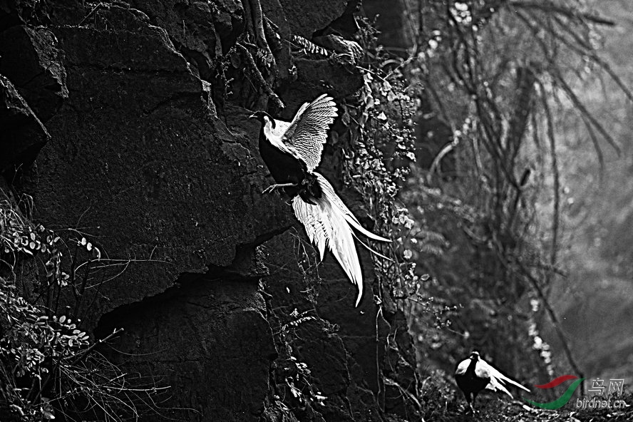 BW6I0914_����_����1_����.jpg