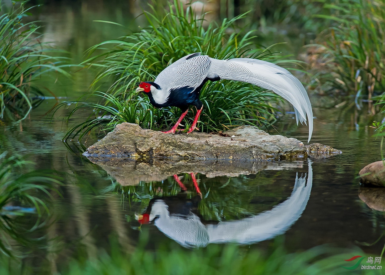 _DSC2820PA.jpg