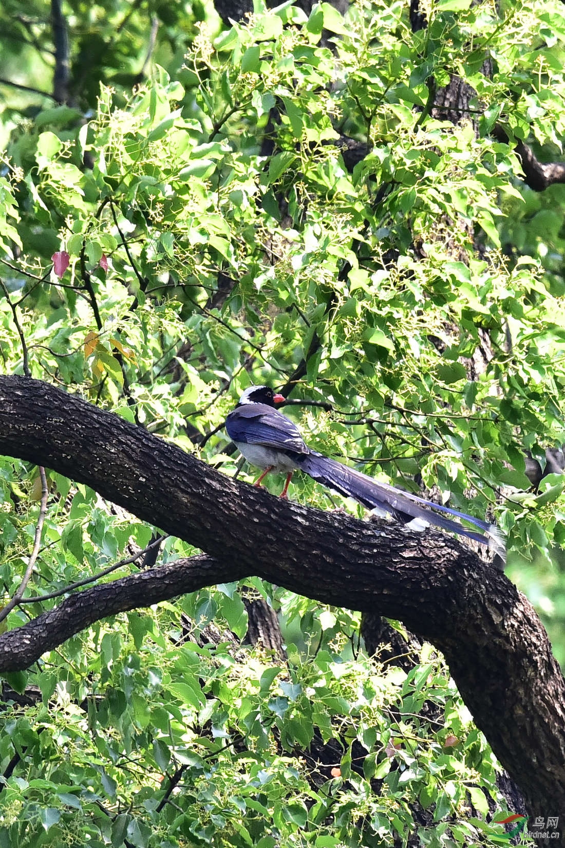 DSC_0505.JPG