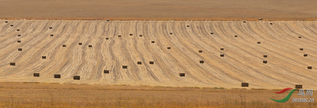 _16A9738  01_����.jpg