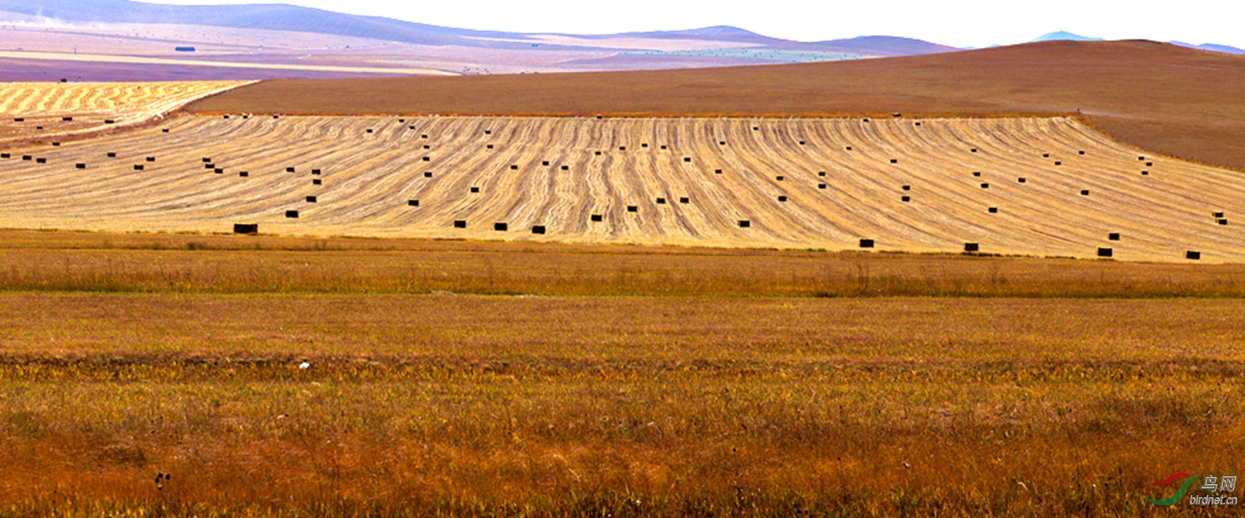 _16A9737  01_����_����.jpg