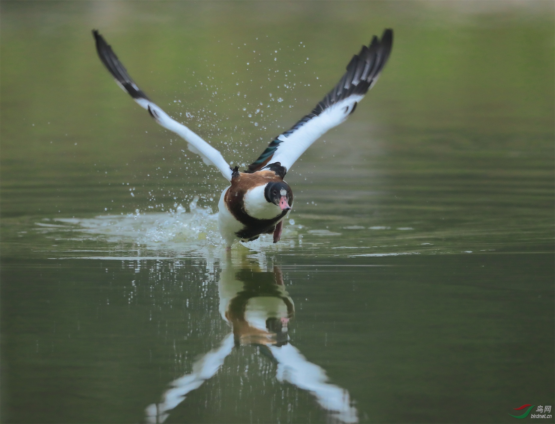 1 - ���� (2).JPG