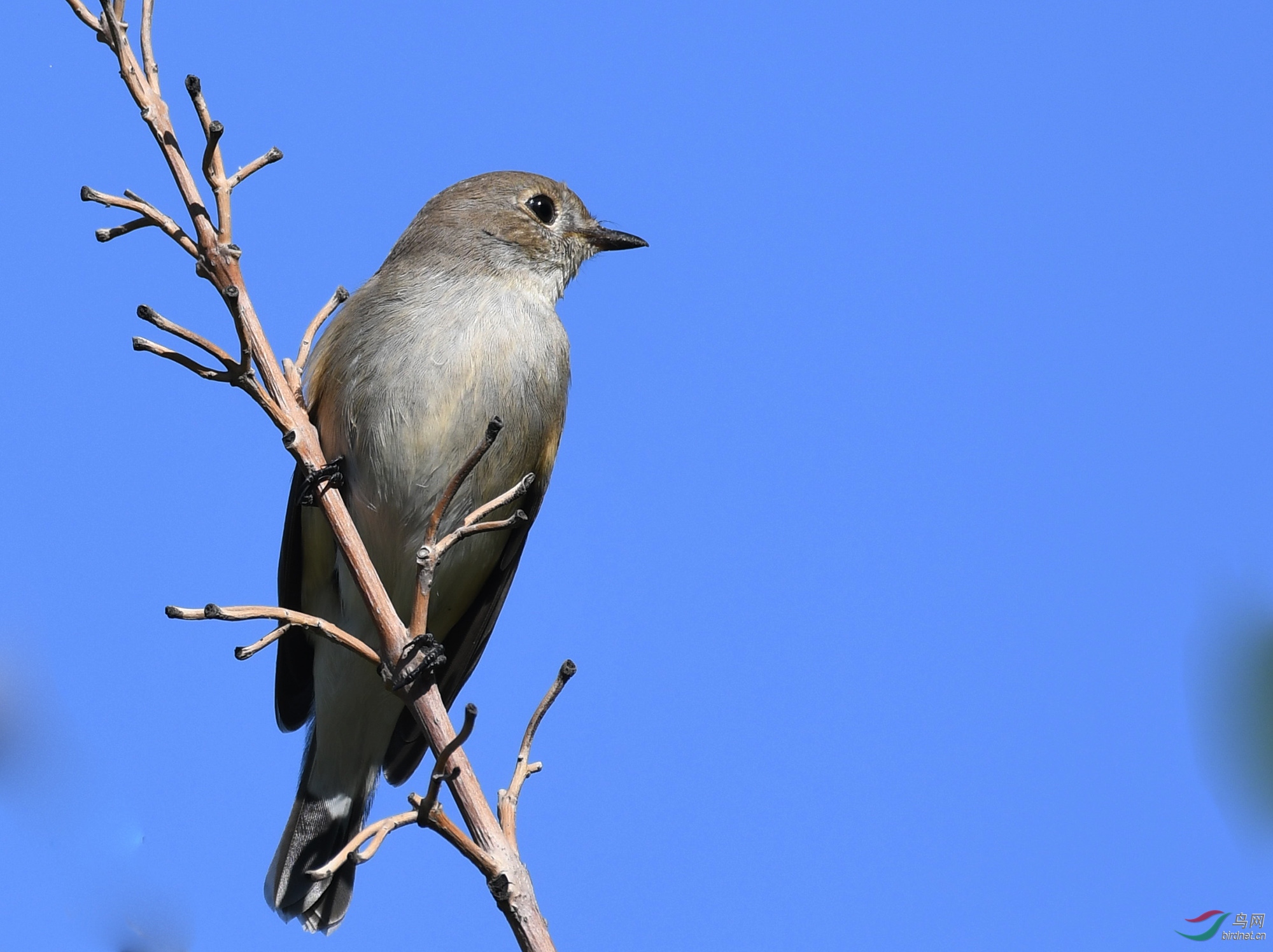 ������Ӱ 721����.jpg