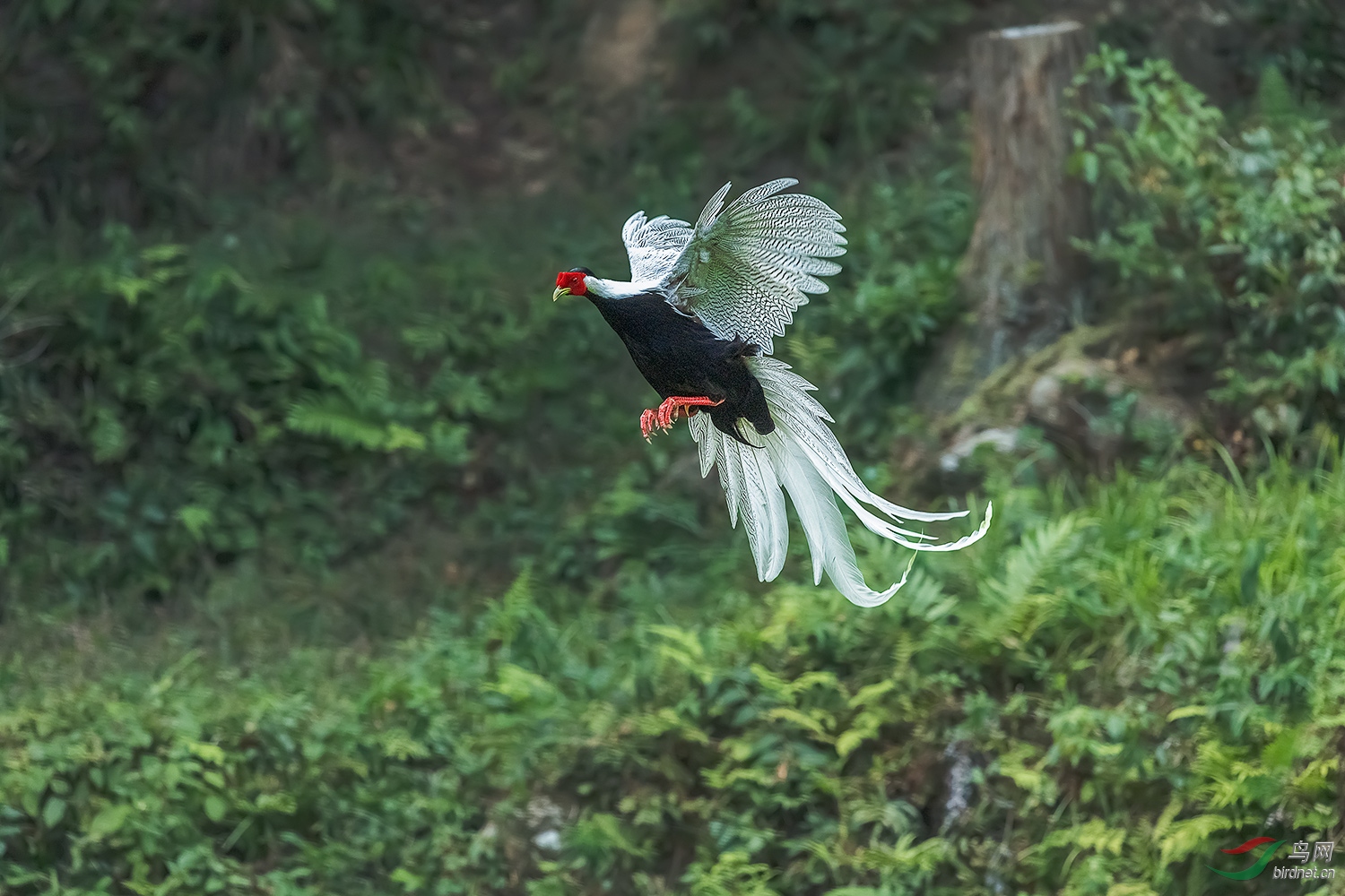 _DSC3909-2.jpg