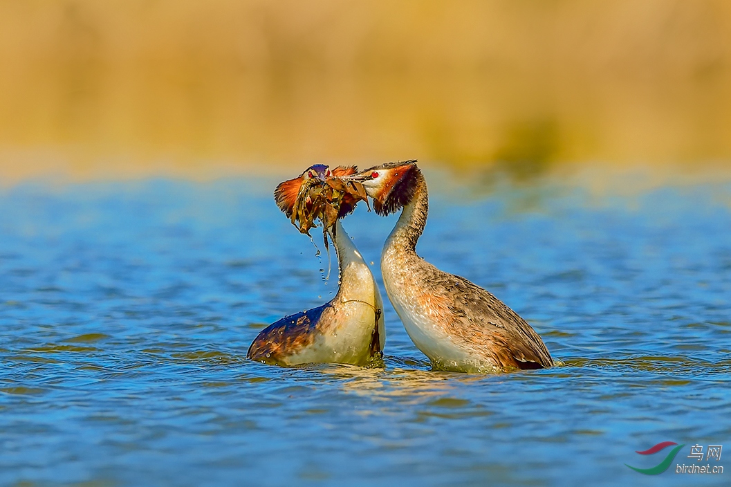 DSC_7561-2.jpg
