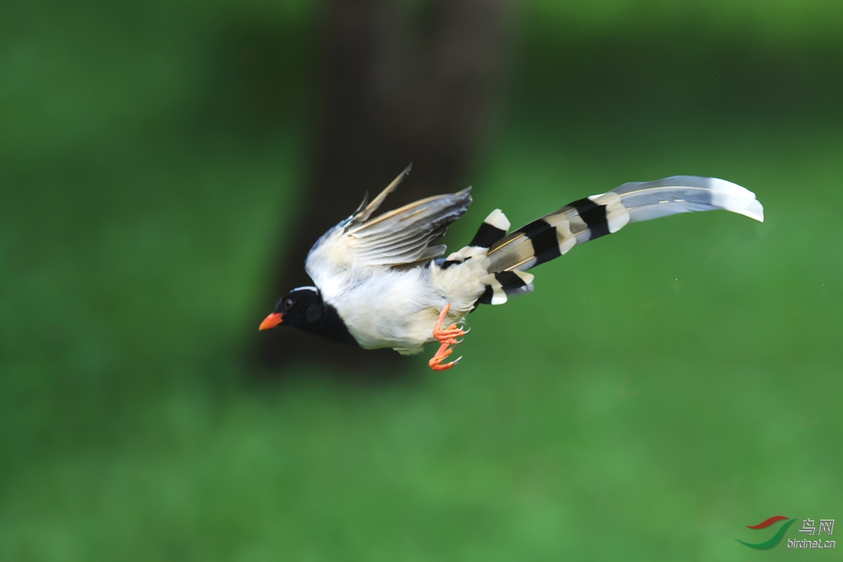 DSC_p5309.jpg