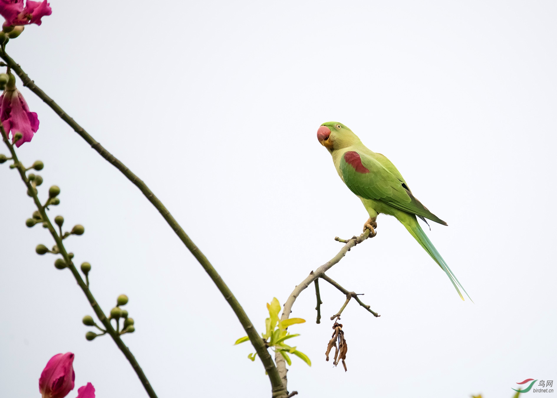 DSC_5201.jpg