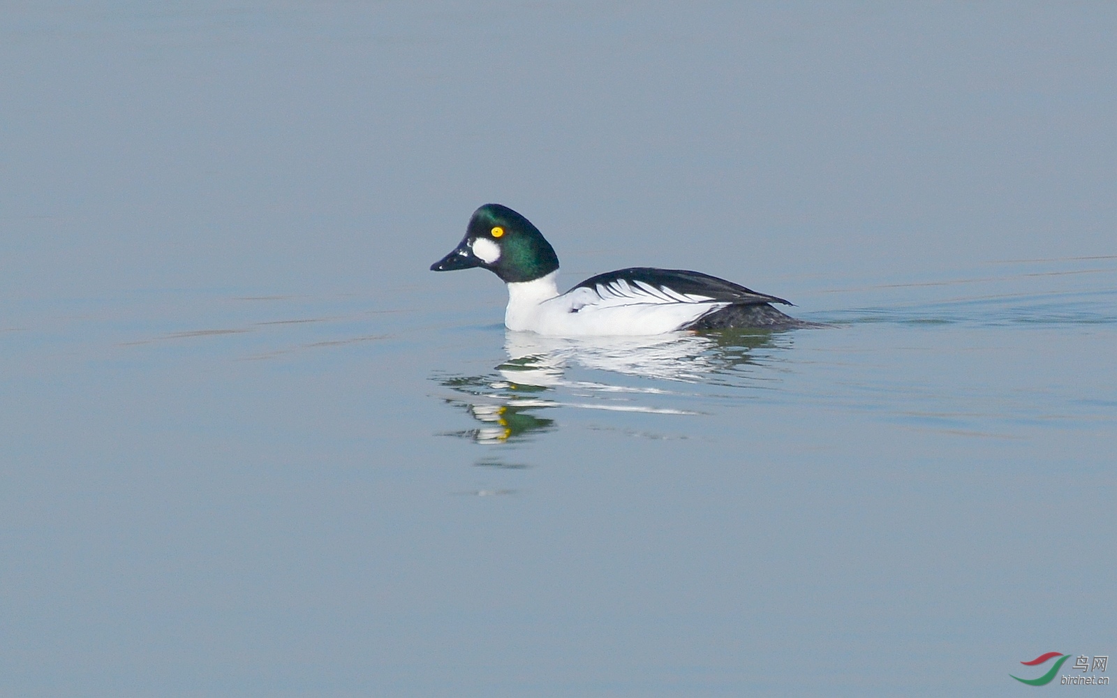 DSC_6519.JPG