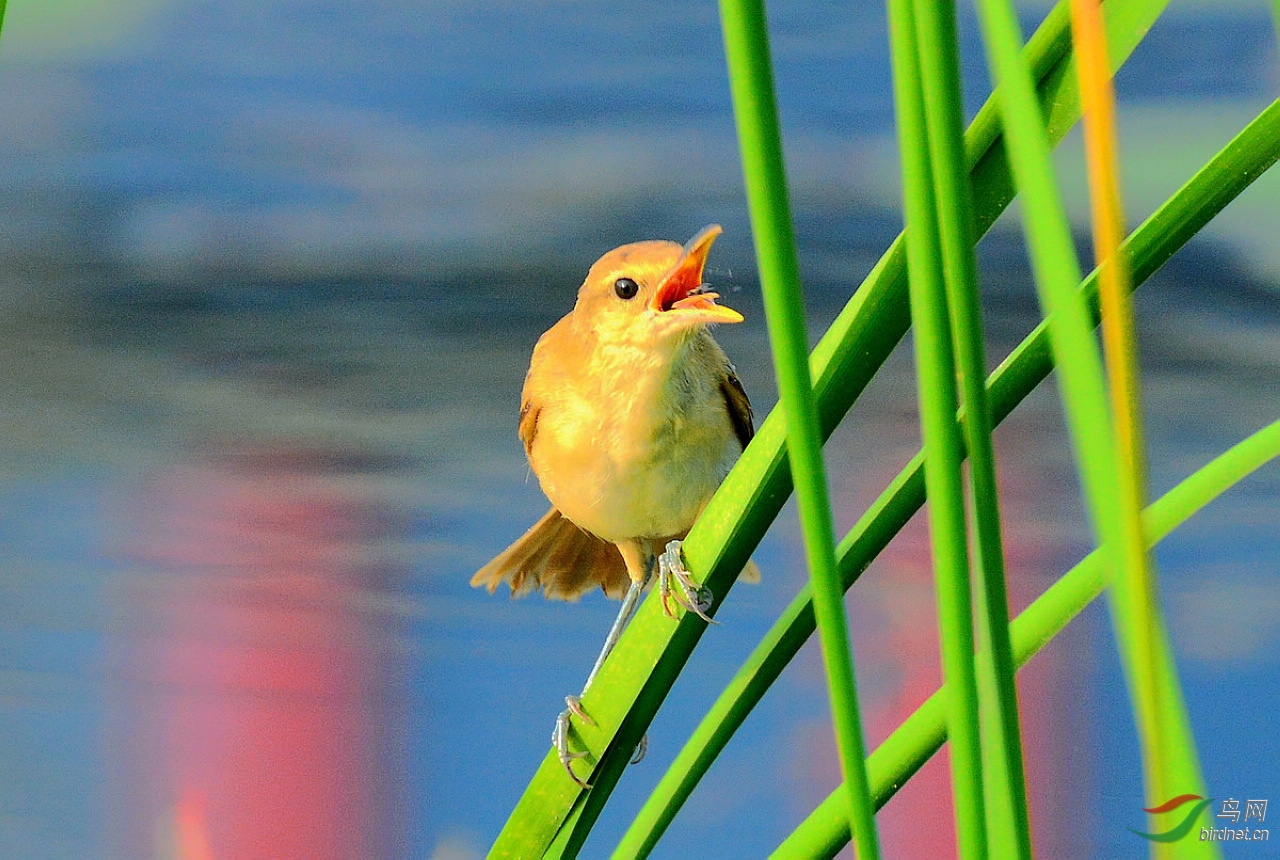 DSC_7372.JPG