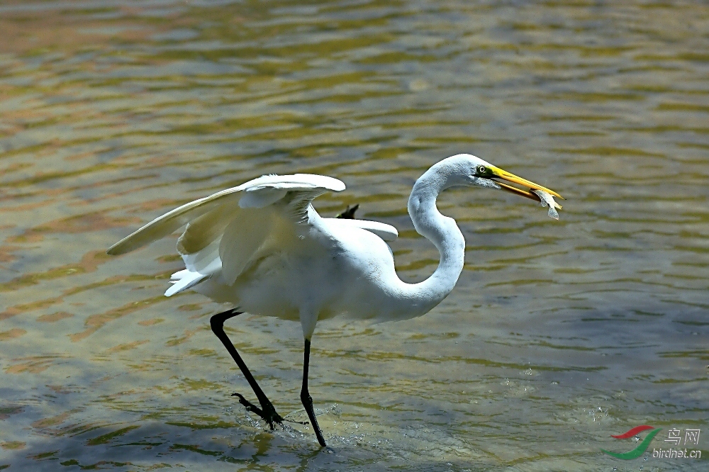 DSC_8366.jpg