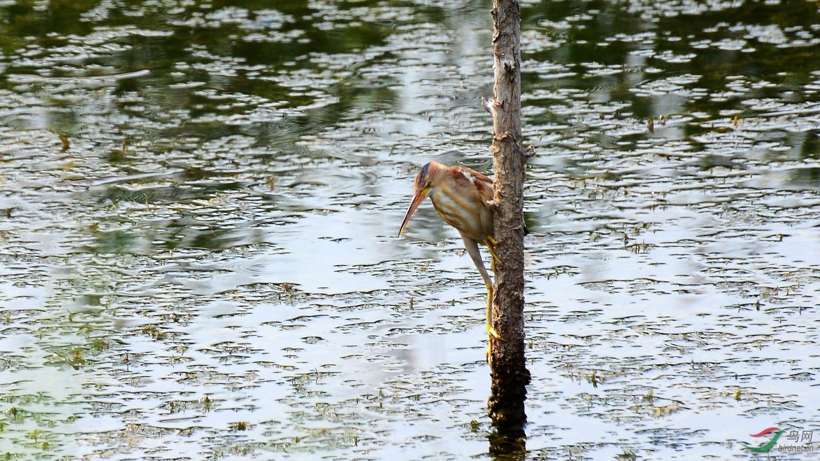 DSC_5750.JPG