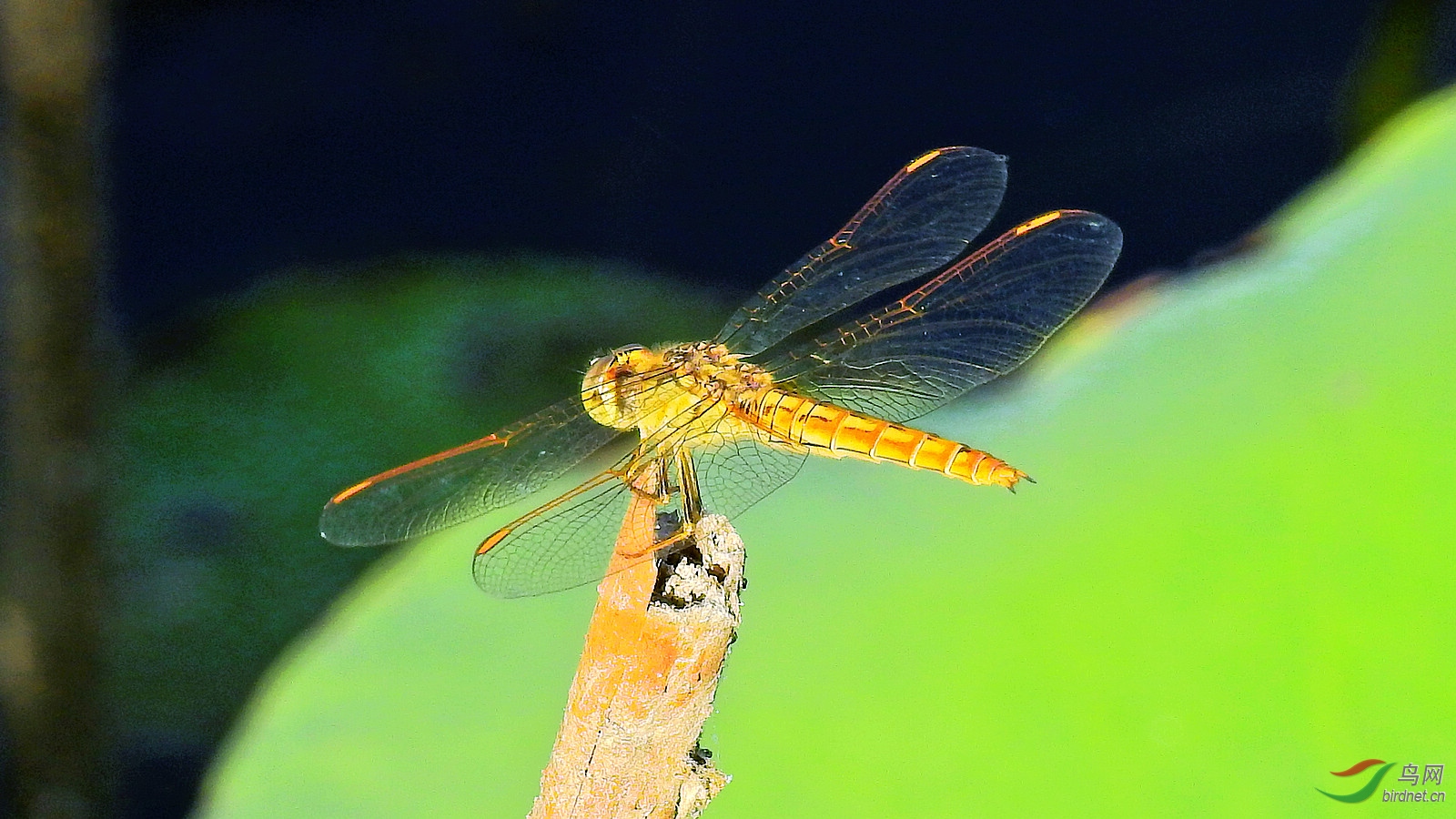 DSCN9272.JPG