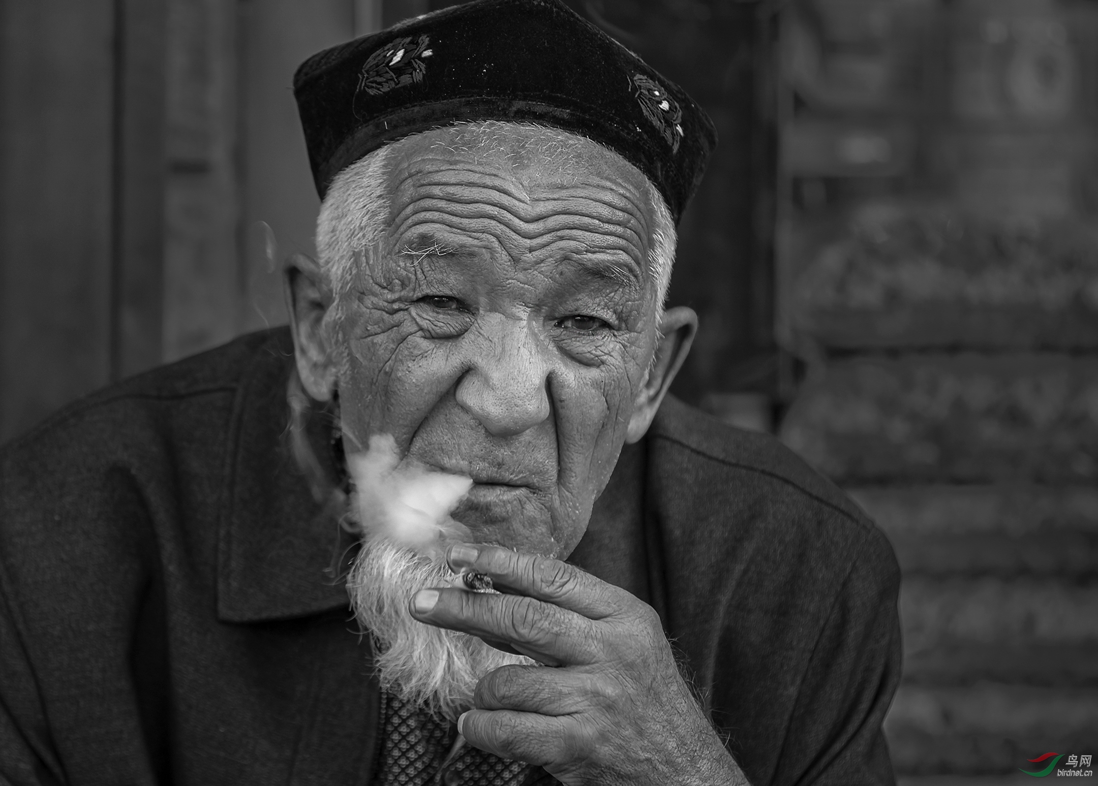 [人物] 悠闲的老人------祝贺老师佳作荣获黑白影像首页精华!