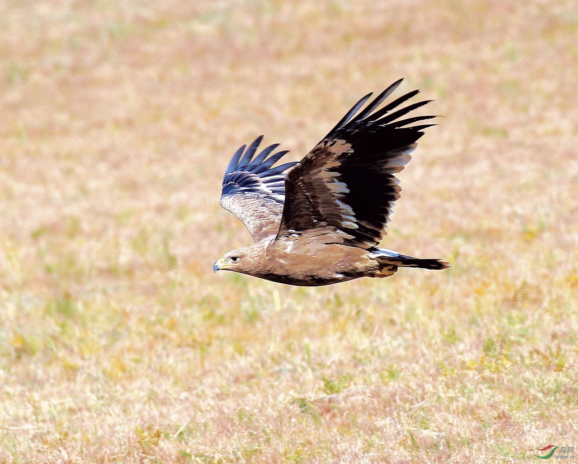 AK2Y7586_2000.jpg