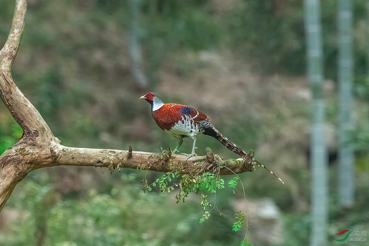 _DSC6431-2.jpg